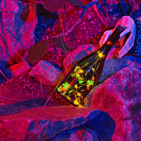 strašidelná botanka 2022 Fotka 130