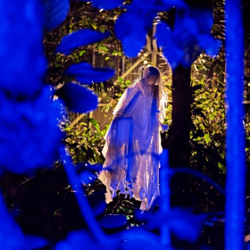 strašidelná botanka 2022 Fotka 72