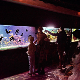 strašidelná botanka 2022 Fotka 82