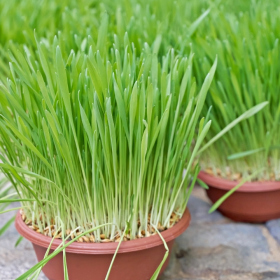 Velikonoční tvořivé dny 2024 Fotka 32