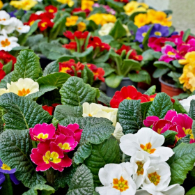 Velikonoční tvořivé dny 2024 Fotka 39