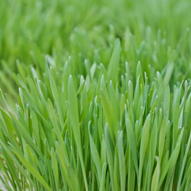 Velikonoční tvořivé dny 2024 Fotka 31