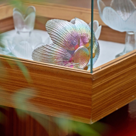 Výstava Projekt Vázy Fotka 53