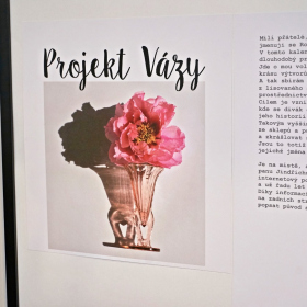 Výstava Projekt Vázy Fotka 34