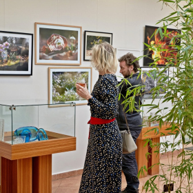 Výstava Projekt Vázy Fotka 22