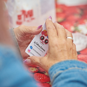 workshopy_mexiko Fotka 49