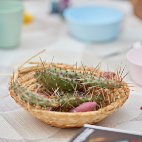 workshopy_mexiko Fotka 55