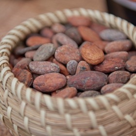 workshopy_mexiko Fotka 30