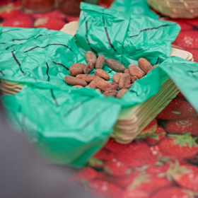 workshopy_mexiko Fotka 35