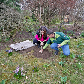 Zasazení stromu sezóny 2024 Fotka 45