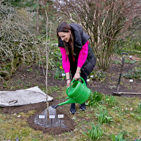 Zasazení stromu sezóny 2024 Fotka 61