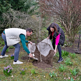 Zasazení stromu sezóny 2024 Fotka 44