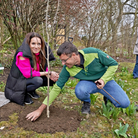 Zasazení stromu sezóny 2024 Fotka 46