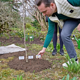 Zasazení stromu sezóny 2024 Fotka 55