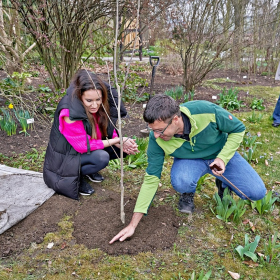 Zasazení stromu sezóny 2024 Fotka 47