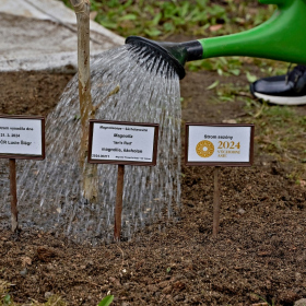 Zasazení stromu sezóny 2024 Fotka 60