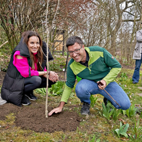 Zasazení stromu sezóny 2024 Fotka 48